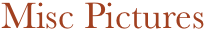 Misc Pictures